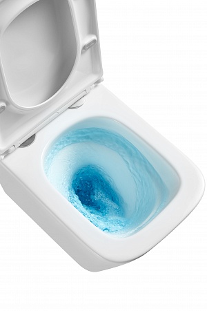 Подвесной унитаз безободковый Terminus Ватикан Monolit 490х340 белый Магнитогорск - фото 8 Подвесной унитаз безободковый Terminus Ватикан Monolit 490х340 белый Магнитогорск - фото 8