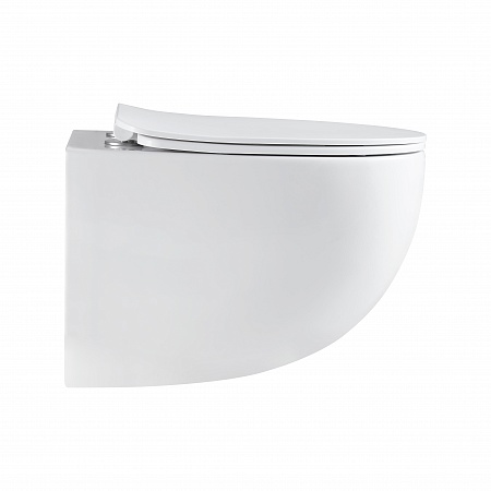 Подвесной унитаз безободковый Terminus Енисей Monolit 560х390 белый Магнитогорск - фото 4 Подвесной унитаз безободковый Terminus Енисей Monolit 560х390 белый Магнитогорск - фото 4