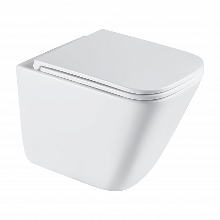 Подвесной унитаз безободковый Terminus Ватикан Monolit 490х340 белый Магнитогорск - фото 2 Подвесной унитаз безободковый Terminus Ватикан Monolit 490х340 белый Магнитогорск - фото 2