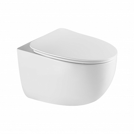 Подвесной унитаз безободковый Terminus Енисей Monolit 560х390 белый Магнитогорск - фото 2 Подвесной унитаз безободковый Terminus Енисей Monolit 560х390 белый Магнитогорск - фото 2