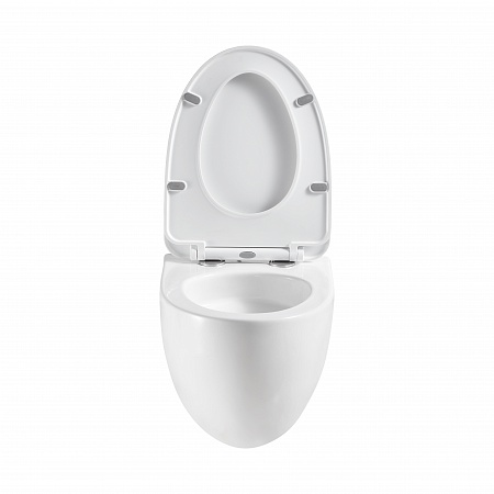 Подвесной унитаз безободковый Terminus Енисей Monolit 560х390 белый Магнитогорск - фото 5 Подвесной унитаз безободковый Terminus Енисей Monolit 560х390 белый Магнитогорск - фото 5