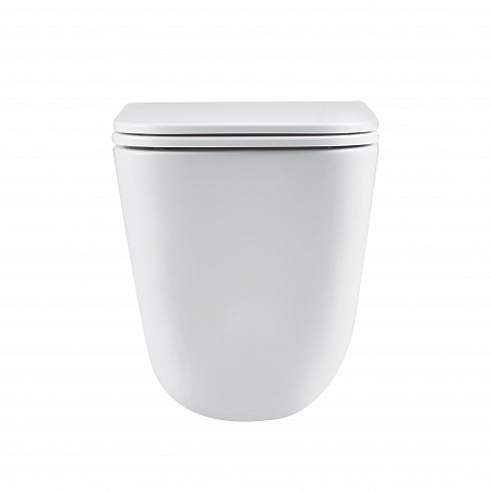 Подвесной унитаз безободковый Terminus Ватикан Monolit 490х340 белый Магнитогорск - фото 6 Подвесной унитаз безободковый Terminus Ватикан Monolit 490х340 белый Магнитогорск - фото 6