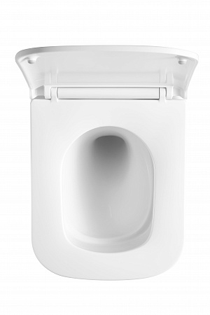 Подвесной унитаз безободковый Terminus Ватикан Monolit 490х340 белый Магнитогорск - фото 3 Подвесной унитаз безободковый Terminus Ватикан Monolit 490х340 белый Магнитогорск - фото 3